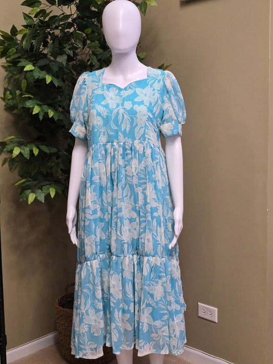 Georgette gowns - Bhargavi Collections USA